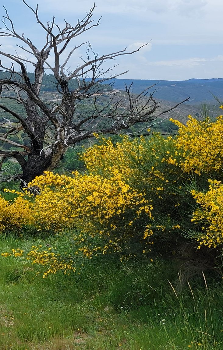 Hinter den Bergen in Rio de Onor
