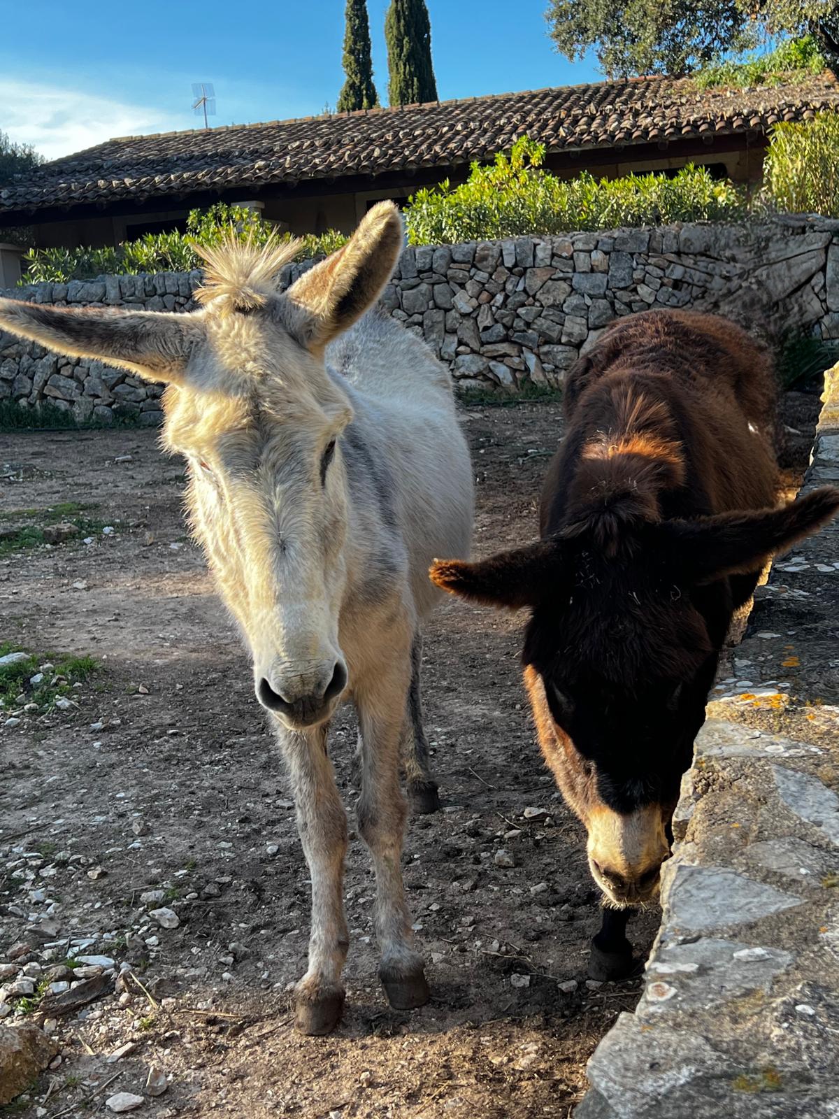 Wir sind noch in der Kennenlernphase